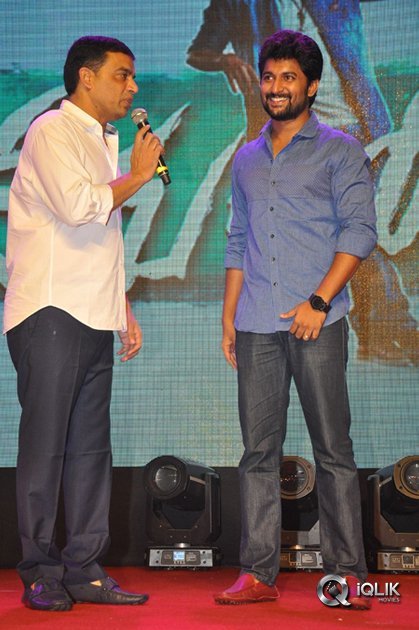 Nenu-Local-Movie-100-Days-Function
